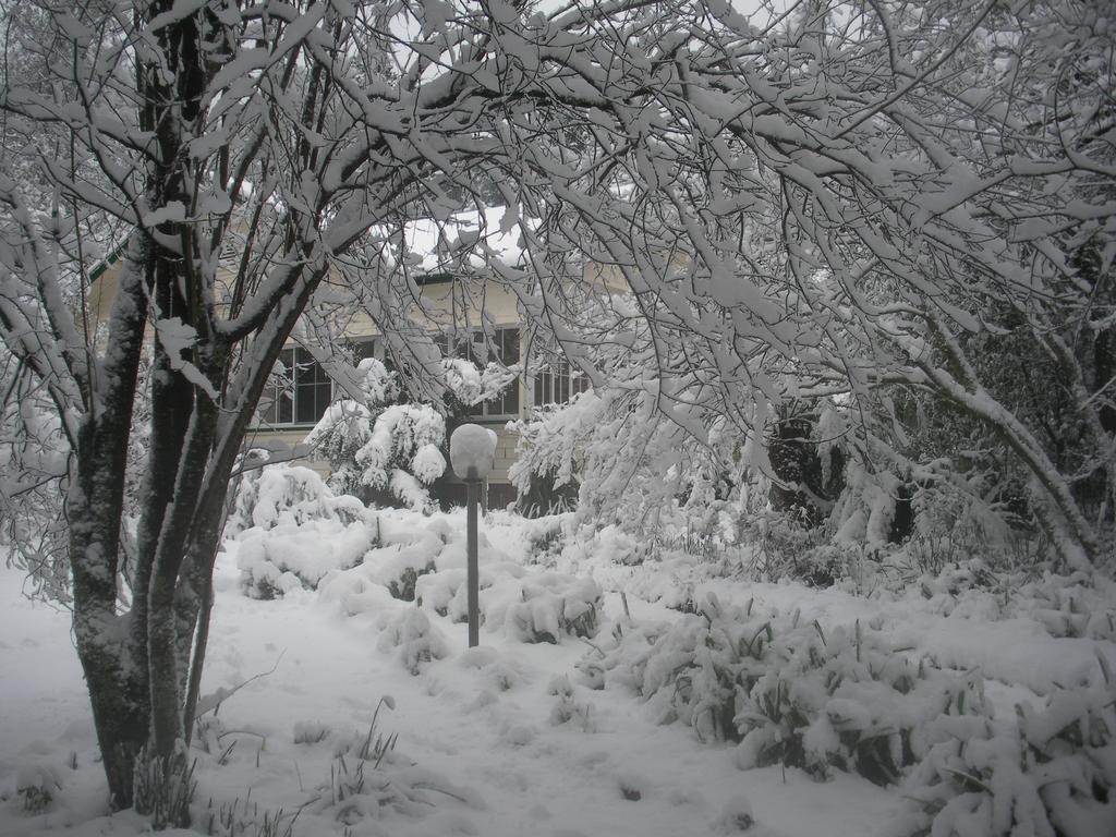 Secrets Hideaway Bed and Breakfast Blackheath Eksteriør billede