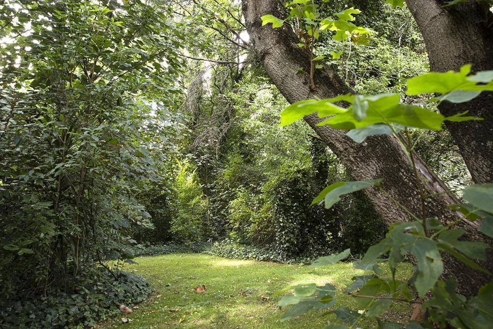 Secrets Hideaway Bed and Breakfast Blackheath Eksteriør billede