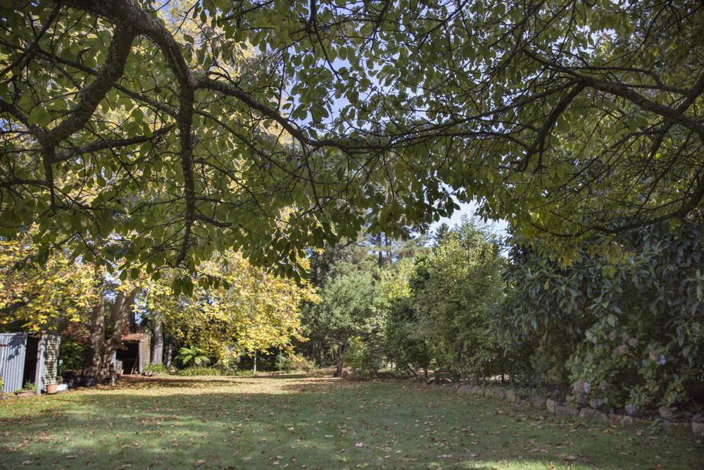 Secrets Hideaway Bed and Breakfast Blackheath Eksteriør billede